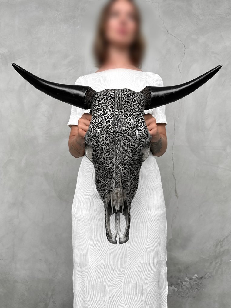 Χωρίς ελάχιστη τιμή - Αυθεντικό μεγάλο γκρι σκαλιστό κρανίο ταύρου - Σχέδιο με λουλούδι Mandala και Λαξεμένο κρανίο - Bos Taurus - 52 cm - 60 cm - 20 cm- Είδη που δεν ανήκουν στο CITES -  (1) #2.1