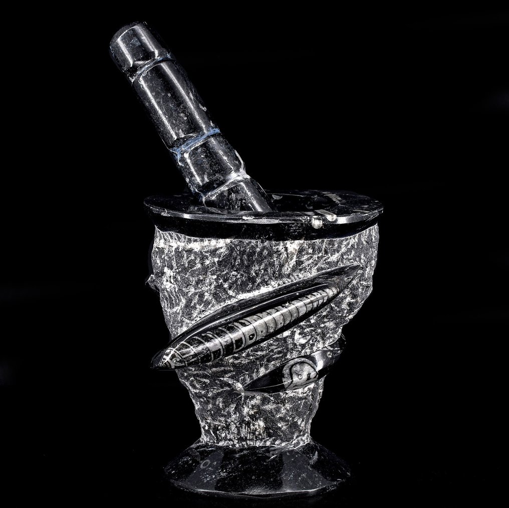 Μοτέρ και γουδί από απολιθωμένο πέτρωμα υψηλής ποιότητας. από το Μαρόκο - Ύψος: 12.3 cm - Πλάτος: 11.4 cm- 1618 g #1.0