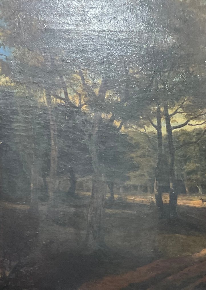 Hollandse school (XIX) - Bosgezicht #1.0