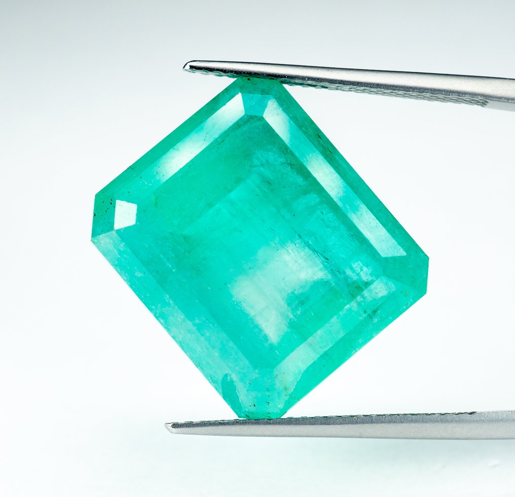 没有保留价 祖母绿  - 27.18 ct - Bellerophon 宝石实验室 - 绿色（小油） #1.0