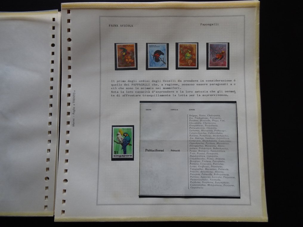 意大利  - 关于该主题的有趣鸟类动物群世界集邮收藏。查看114张照片。 #4.3