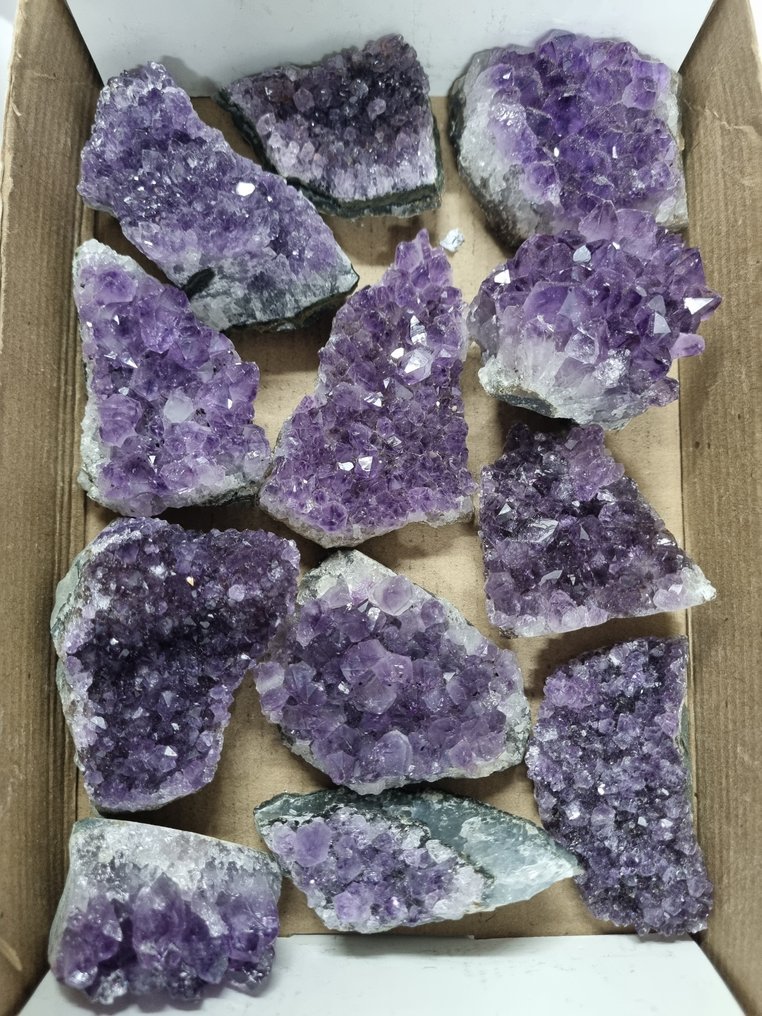 Big Lot HQ 乌拉圭紫水晶簇 9 - 5.7 厘米 水晶群- 1.48 kg #1.0