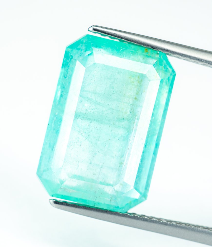 没有保留价 祖母绿  - 8.10 ct - Bellerophon 宝石实验室 - 蓝绿色（轻油） #1.0