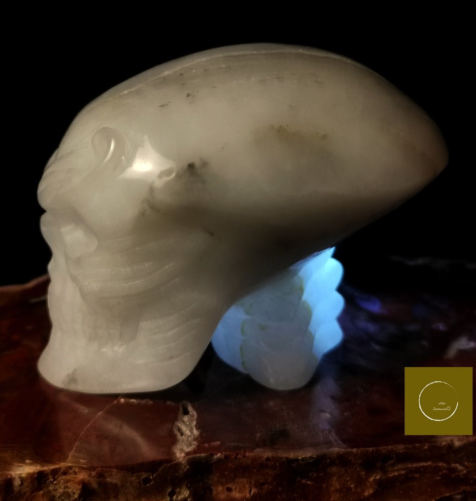 526 γρ 9,10 x 7,50 εκ λευκός χαλαζίας - βράχινος κρύσταλλος κρανίο - κοσμικά πλάσματα εσωτερική Σκάλισμα- 526 g #1.0