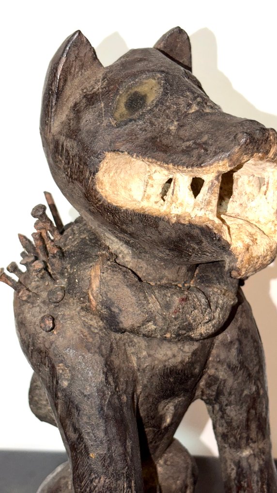 Chien Kongo Nkisi Nkonde - Λαϊκή Δημοκρατία του Κονγκό (χωρίς τιμή ασφαλείας) #1.0