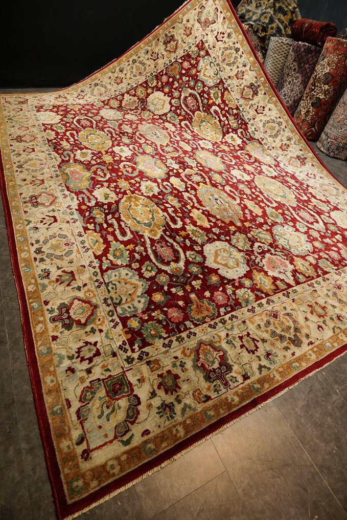 tedex - Teppich - 395 cm - 300 cm #1.0