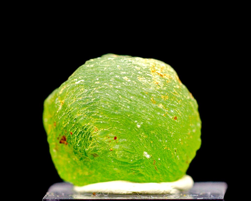 Nucleated Botryoidal Prehnite • Σπάνια στροβιλώδης πράσινη διαμόρφωση • 33,35 CT • Χωρίς ελάχιστη τιμή - Ύψος: 17 mm - Πλάτος: 15 mm- 6.67 g - (1) #1.0
