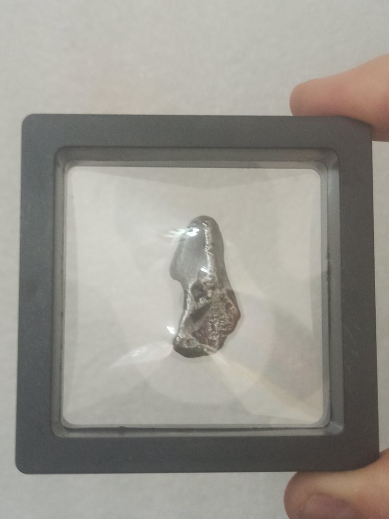 Υπέροχο Sikhote Alin. Ολοκληρωμένο δείγμα. Χωρίς τιμή εκχώρησης!!! - 11.62 g #1.0