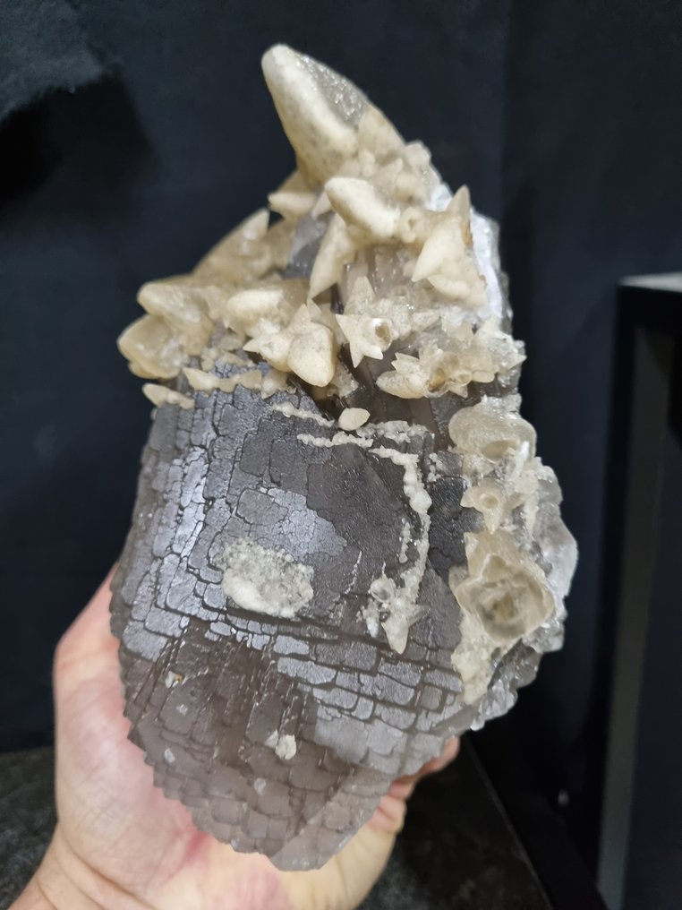 特大号高品质灰色氟石配狗牙方解石 - 高度: 175 mm - 闊度: 160 mm- 3476 g #4.3