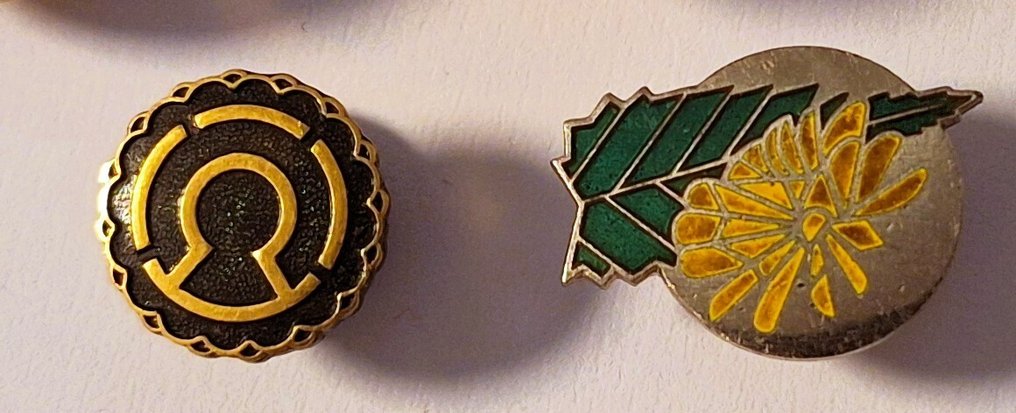 日本 - 奖章 - eight Imperial Japanese badges-silver, gold, brass #3.2