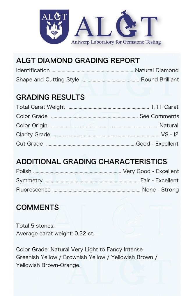 没有保留价 - 5 pcs 钻石  (天然色彩的)  - 1.11 ct - 圆形 混合色彩 - VS1 轻微内含一级, I2 内含二级 - 安特卫普宝石检测实验室（ALGT） #1.0