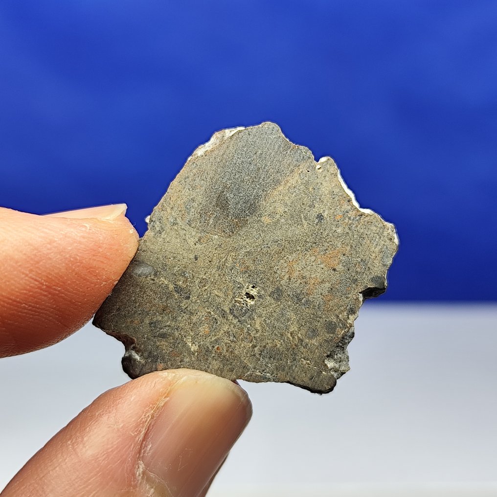 Φεγγαρίσιος θραυσματικός βρεκίτης μετεωρίτης. Με υδατική αλλοίωση. OUED EL HAMIM 001 (Λιβύη, 2024). - 2.7 g #4.3