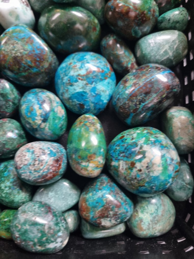 三级A质量的绿松石 磨光- 1 kg - (1) #3.2