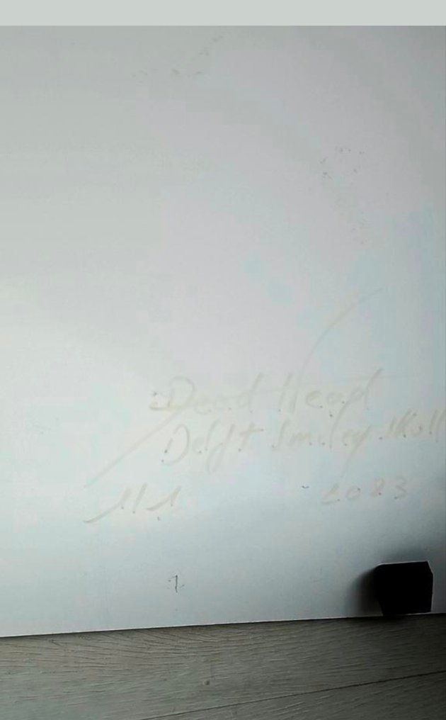 Dead Head (1972) - Delft Smiley Skull #2.1