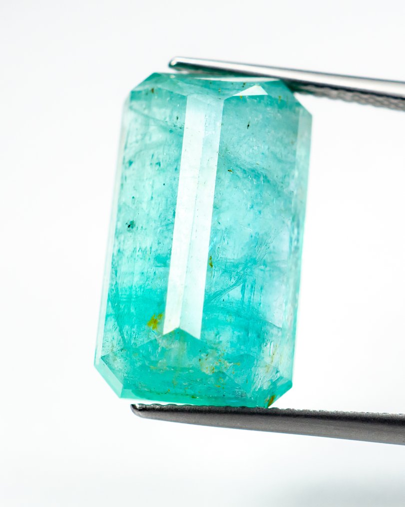 没有保留价 祖母绿  - 14.57 ct - Bellerophon 宝石实验室 - 蓝绿色（轻油） #4.3