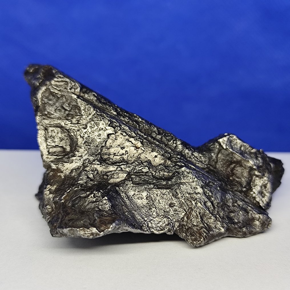 XL 铁陨石，阿勒泰（中国，1898年） 完整作品。最佳品质。 - 333 g #2.1