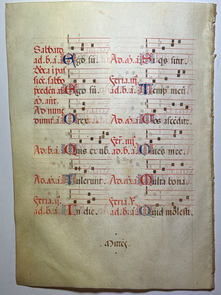 Italian scriptorium of the Middle Ages - Noted Breviary illuminated leaf on vellum Italy 24 initials in red and blue colours - 1450 #2.1