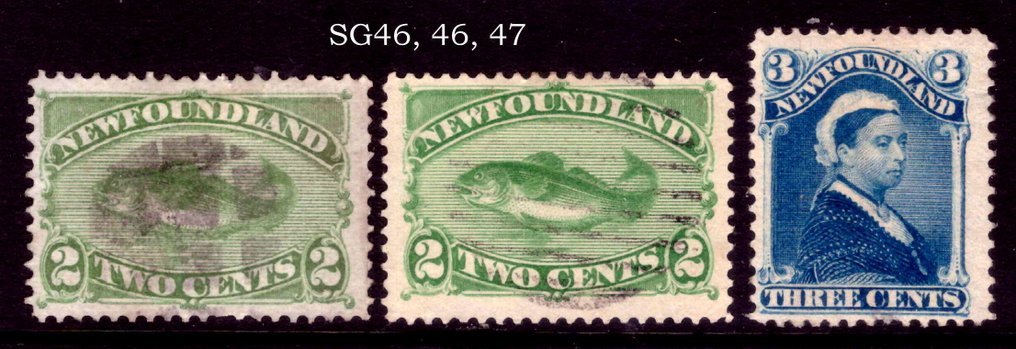 Terra Nova 1880/1882 - conjunto - Stanley Gibbons #3.2