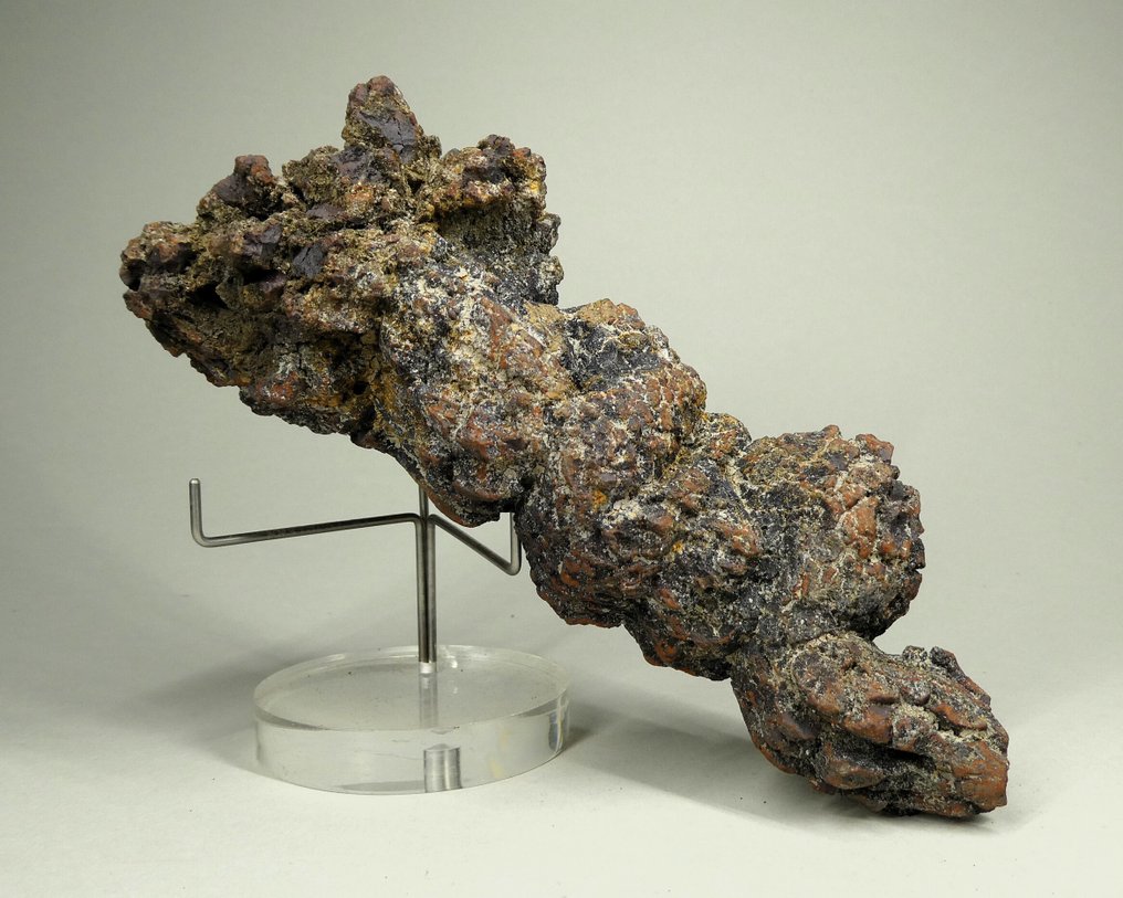 化石爬行动物粪便 - 動物化石 - Koprolithe - 14.5 cm  (沒有保留價) #3.2