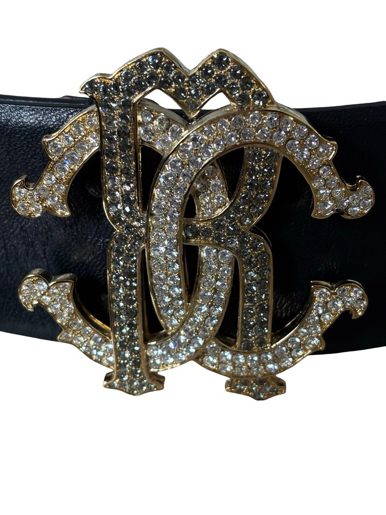 Roberto Cavalli - 带 #1.0