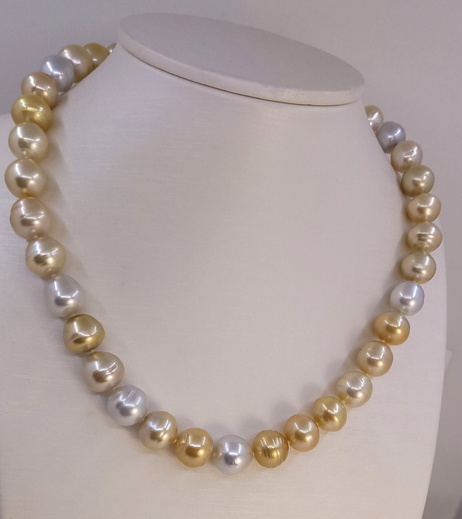 沒有保留價 - 頸鏈 - 14 克拉 黃金, PSL 认证澳大利亚南海珍珠 - 10.0x12.1毫米 #2.1