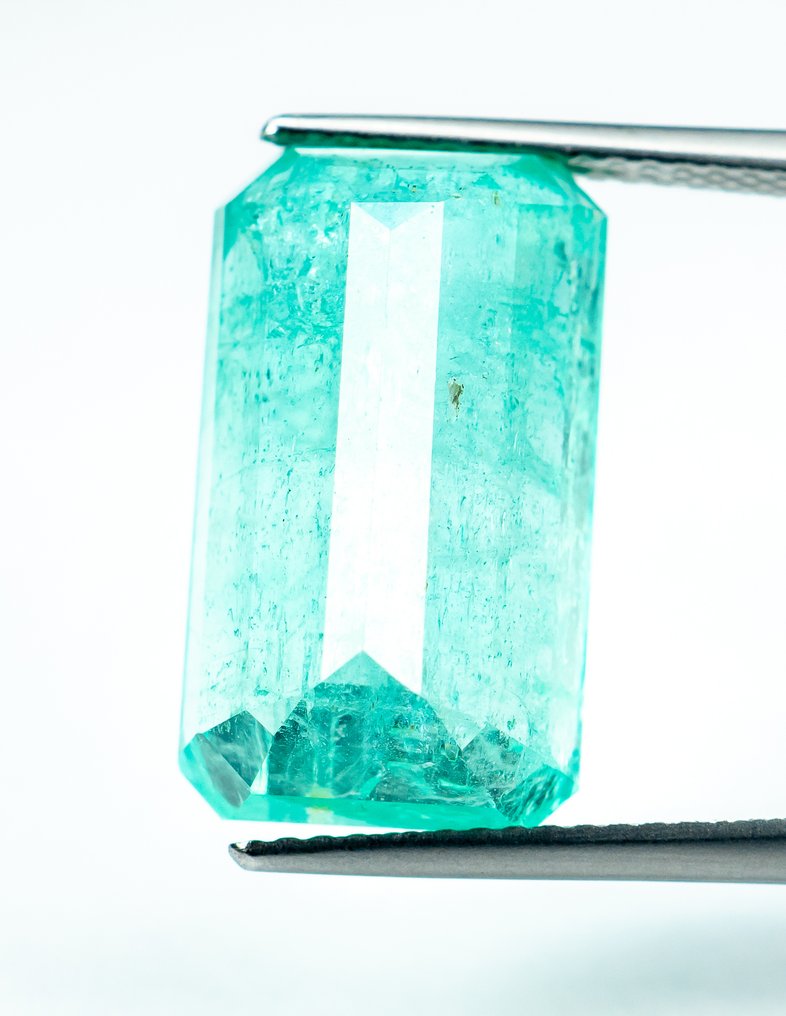没有保留价 祖母绿  - 12.64 ct - Bellerophon 宝石实验室 - Green（尼日利亚） #3.2