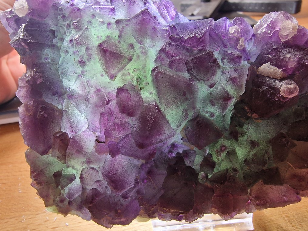 Fluorite XXXL - Altezza: 140 mm - Larghezza: 90 mm- 526 g - (1) #1.0