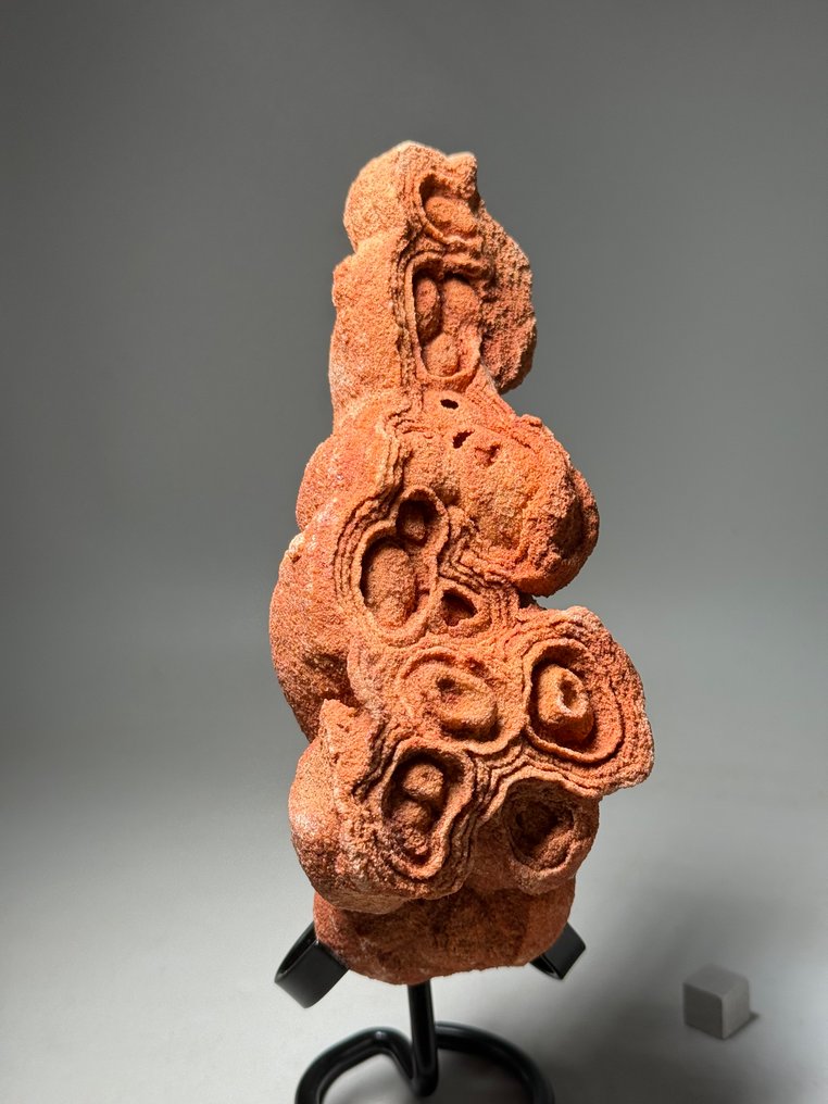 地球上最古老的化石——约11亿年前 - 矩阵化石 - Desert Stromatolites #3.2