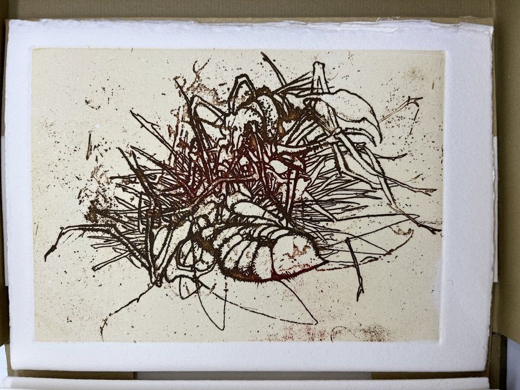 Giovanni Arpino / Sergio Saroni - Insettario - 1967 #1.0