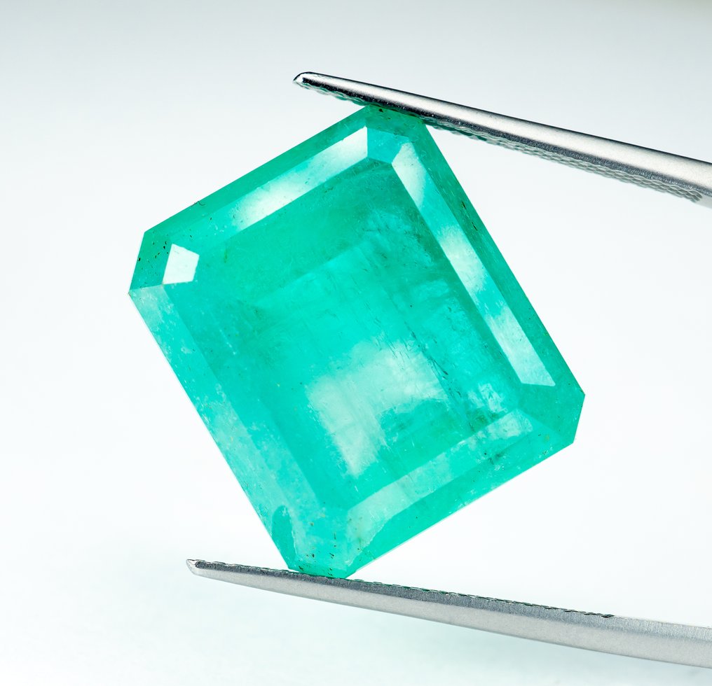 没有保留价 祖母绿  - 27.18 ct - Bellerophon 宝石实验室 - 绿色（小油） #2.1