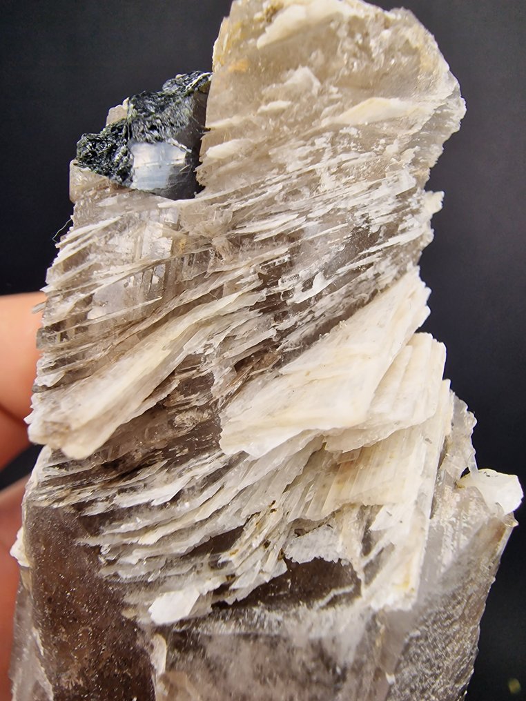 Epidydymite Rare Egirine, pyrochlor - Height: 130 mm - Width: 40 mm- 220 g - (1) #3.2