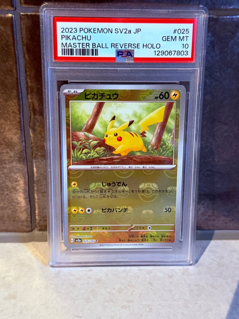 Pokémon - 1 Graded card - Pikachu #025 壓膜, 逆閃卡 - PSA 10 - Scarlet & Violet - SV2a #1.0