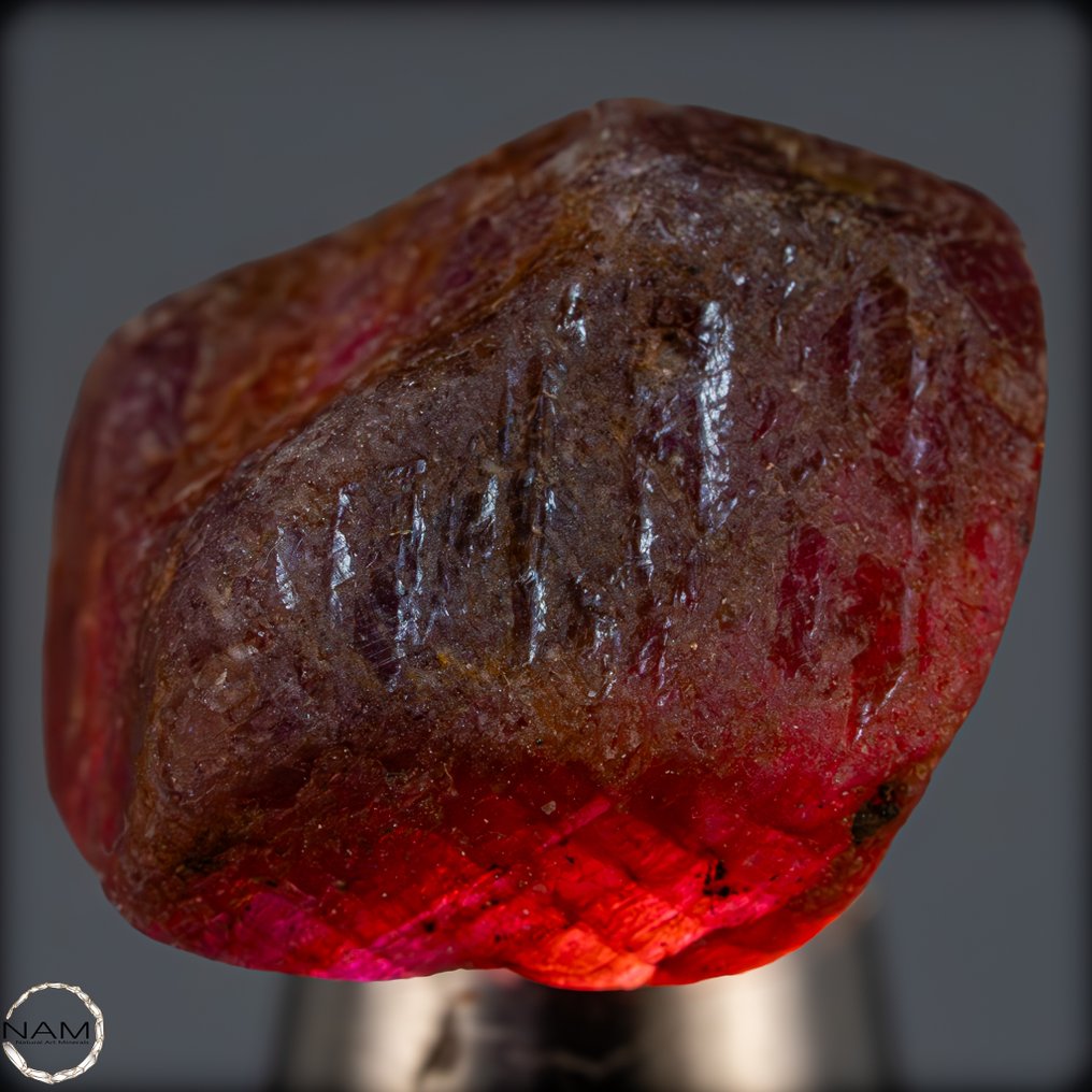 Φυσικός κόκκινος ρουμπίνι σε μορφή χύδην - Λαμπερή δύναμη της γης. 58,55 ct- 11.71 g #2.1