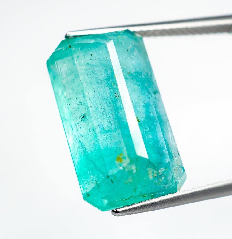 没有保留价 祖母绿  - 14.57 ct - Bellerophon 宝石实验室 - 蓝绿色（轻油） #3.2