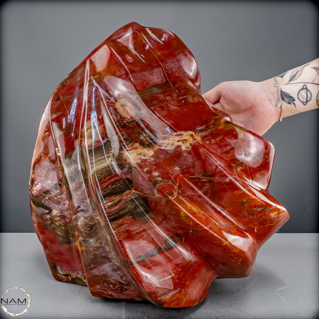 Εντυπωσιακή πετρωμένη ξύλινη φλόγα από Μαδαγασκάρη Φυσική δύναμη σε γλυπτική μορφή (25 kg)- 25181.76 g #2.1