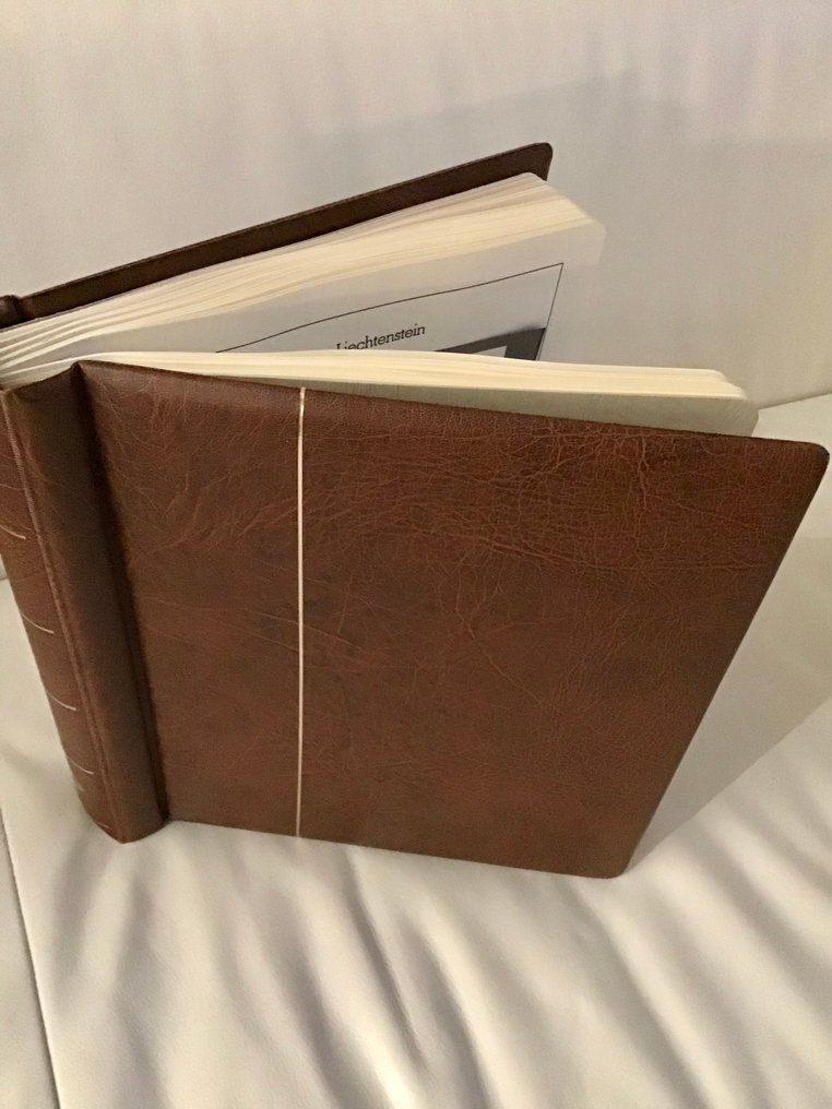 列支敦士登 1959/1989 - 列支敦士登 1959-1989 年的收藏品，几乎全部未使用，几乎完整，装在 2 本 Leuchtturm 纪念册中。 #1.0