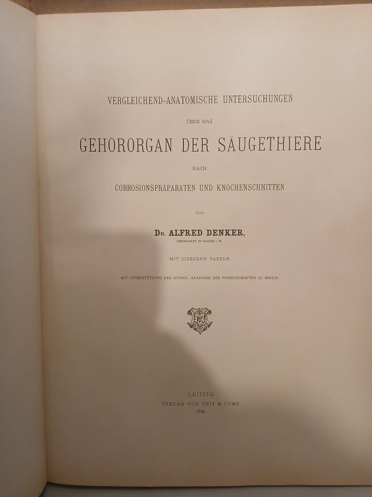 Alfred Denker - Vergleichend-Anatomische Untersuchungen über das Gehörorgan der Säugethiere - 1899 #2.1