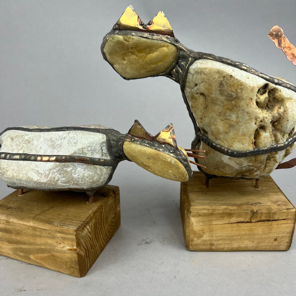 Jacek Drzymała ( XX- XXI) - 2 Stone BIG CATS #4.3