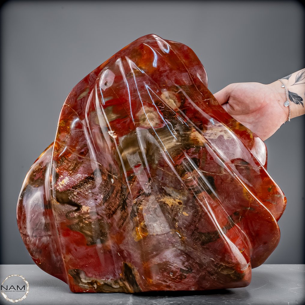 Εντυπωσιακή πετρωμένη ξύλινη φλόγα από Μαδαγασκάρη Φυσική δύναμη σε γλυπτική μορφή (25 kg)- 25181.76 g #1.0