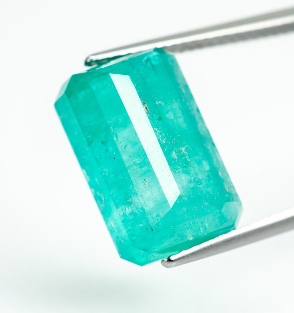 沒有保留價 祖母綠  - 8.83 ct - Bellerophon Gemlab - Green（尼日利亚） #3.2