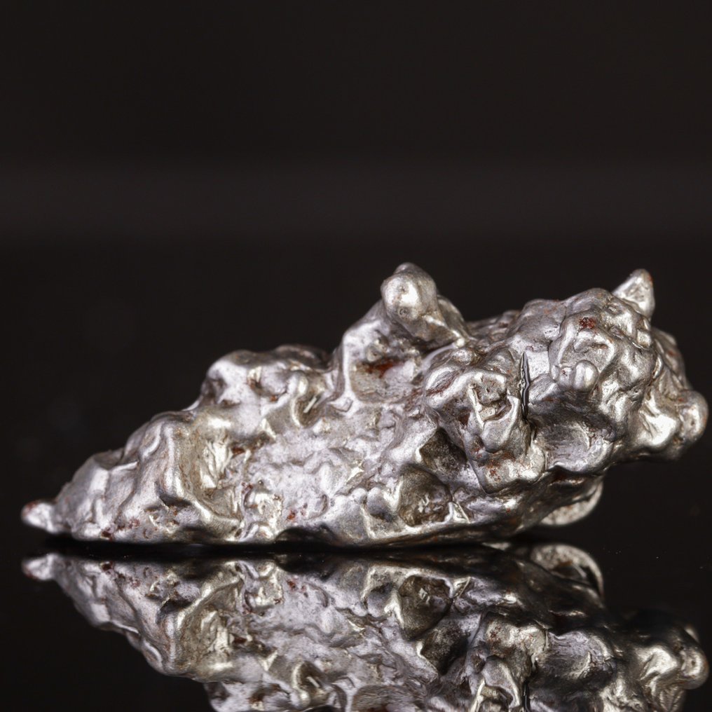 Campo del Cielo - Μετεωρίτης – Σίδερο-Νικέλιο με δομή Widmanstätten. - Ύψος: 44 mm - Πλάτος: 23 mm- 46 g #1.0