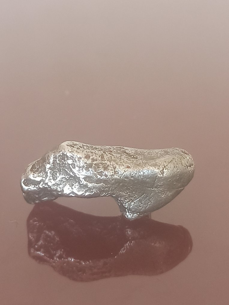 Υπέροχο Sikhote Alin. Ολοκληρωμένο δείγμα. Χωρίς τιμή εκχώρησης!!! - 11.62 g #2.1