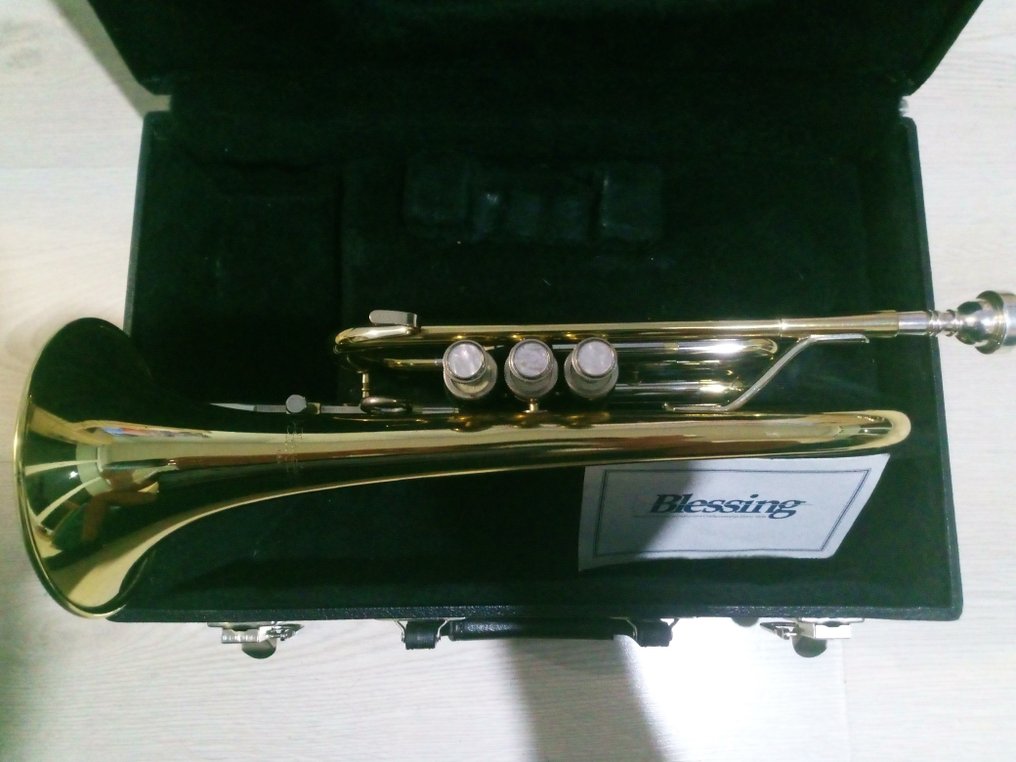 Blessing - B120 -  - Cornet - États-Unis - 2010 #3.2