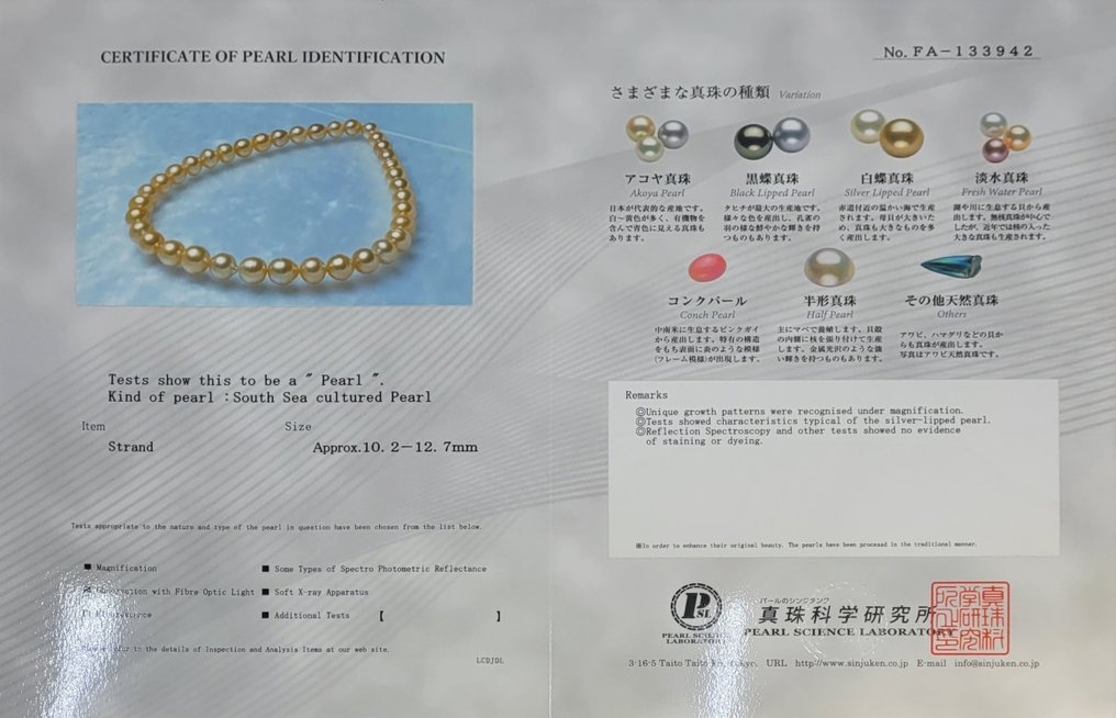 项链 - 14K包金 黄金, PSL 认证深金南洋珍珠 - 10.2x12.7毫米 #2.1