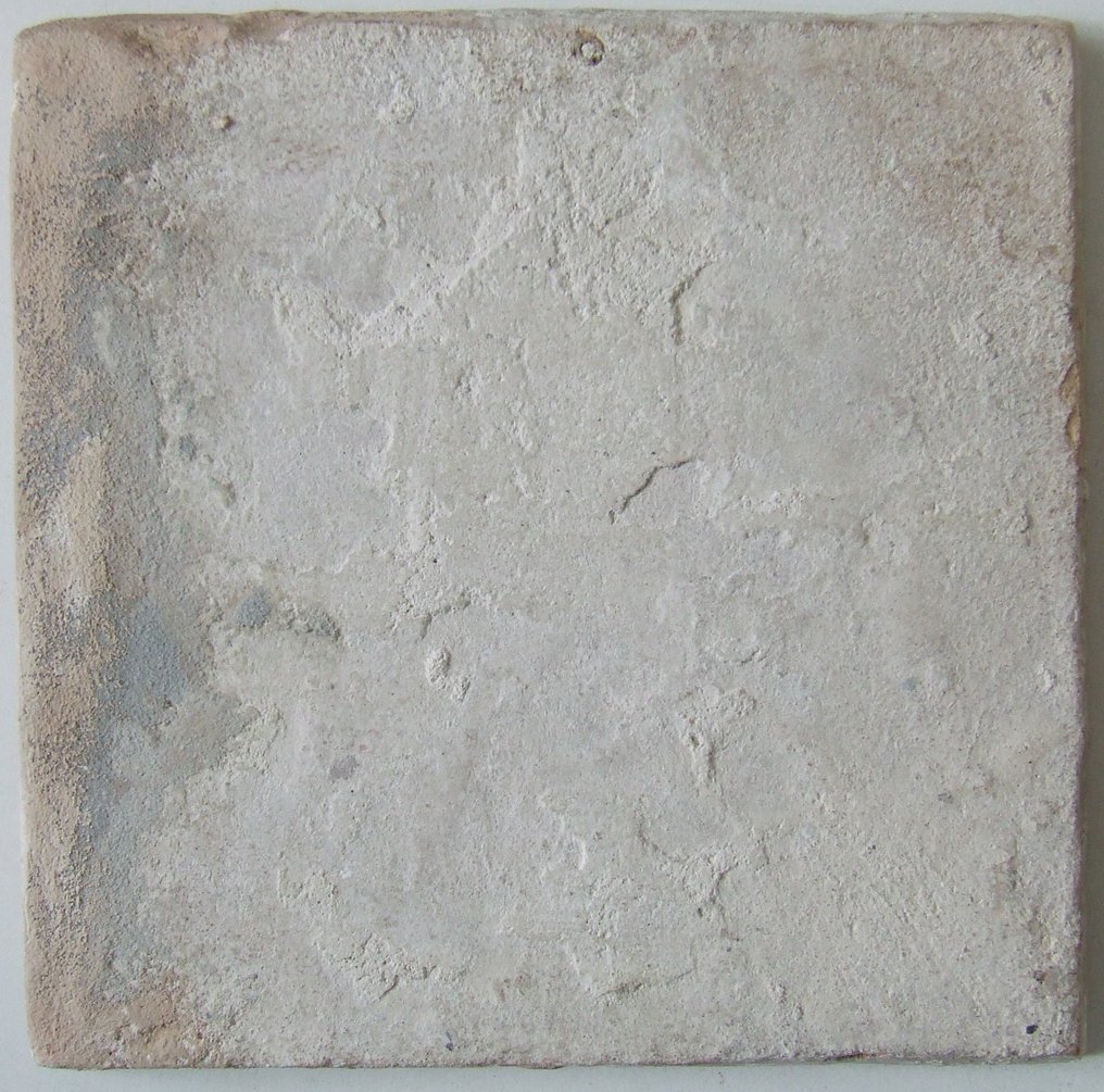 Fliese - Seltene große bunte Tulpe. - 1600–1650 #3.2