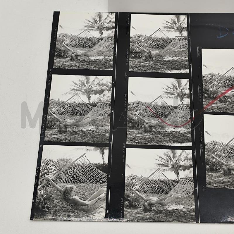 MADONNA - Madonna "sex" contact sheet #1.0