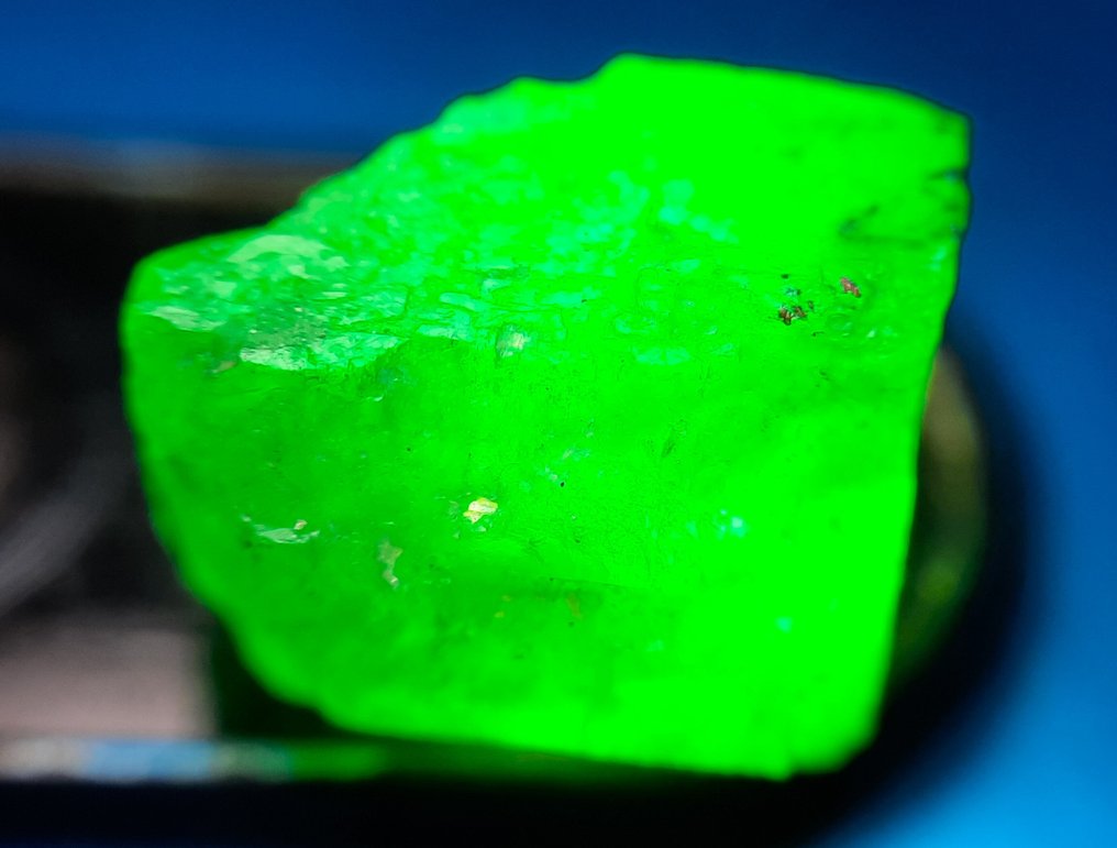 POKER GEMS - 35.9 cts - Natural Emerald, Ruby, Sapphire, Peridot Rough- 7.18 g #4.3