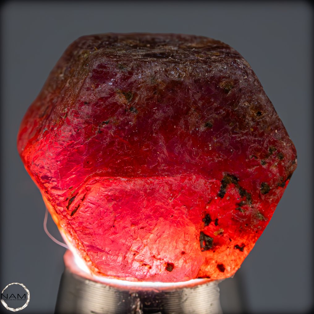Naturlig rød Rubin i rå form - jordens lysende kraft 43,70 ct- 8.74 g #3.2
