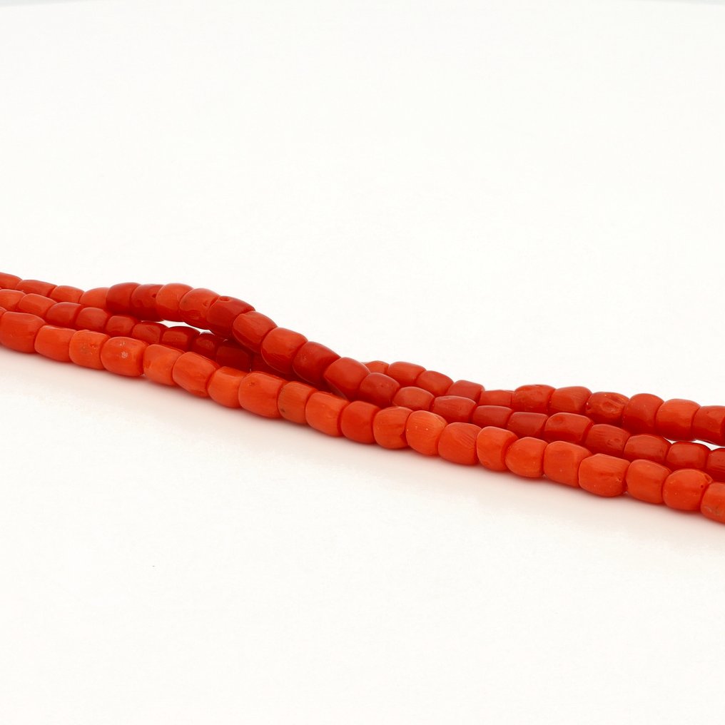 頸鏈 - 14 克拉 黃金 紅珊瑚 #4.3