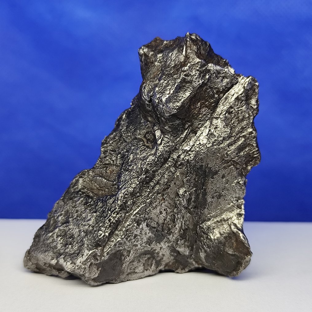 XL 铁陨石，阿勒泰（中国，1898年） 完整作品。最佳品质。 - 333 g #1.0